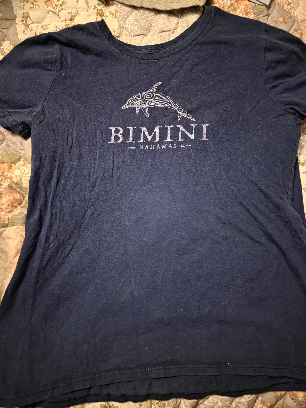 BIMINI Bahamas Navy Graphic Tee